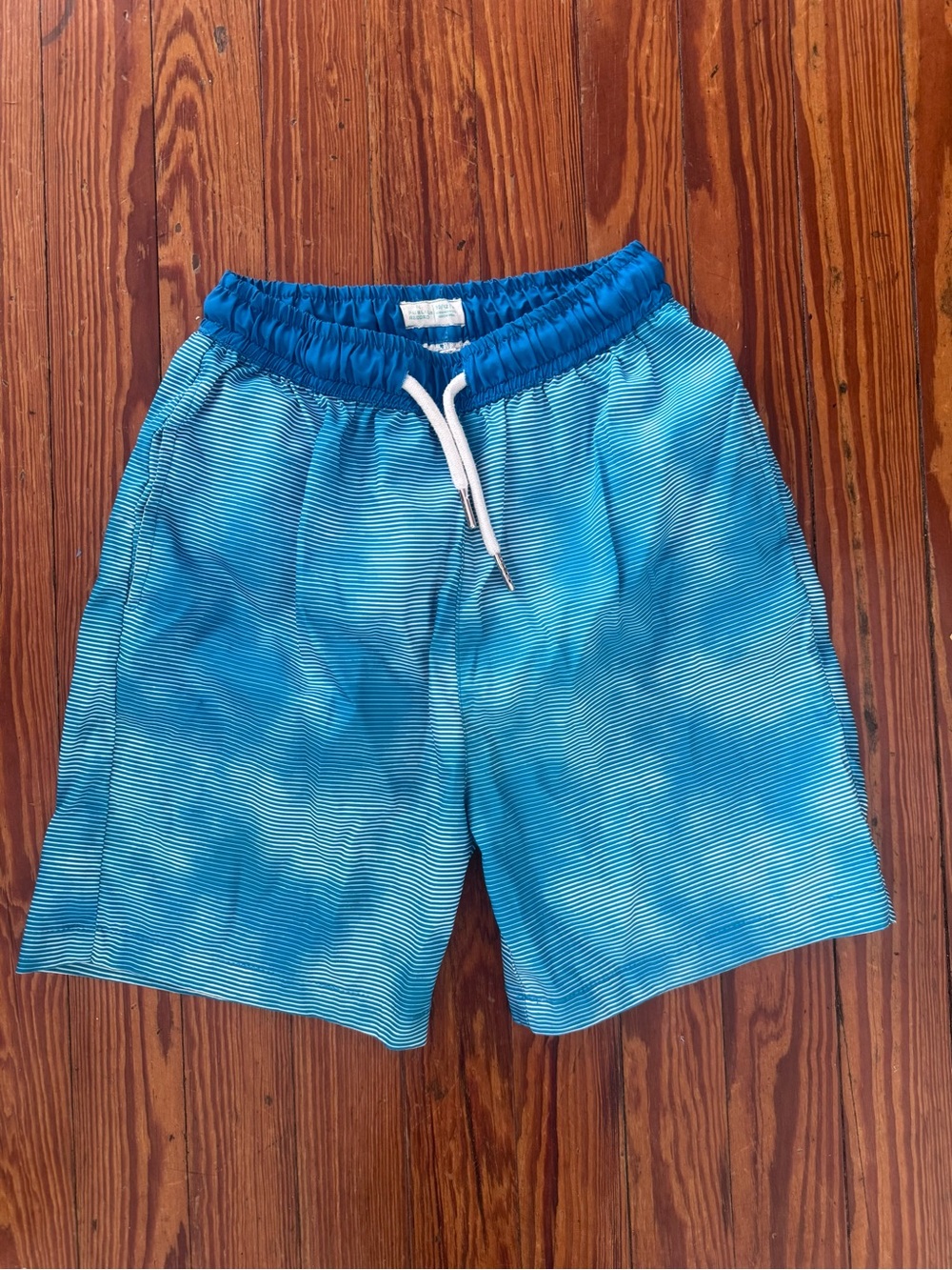 PUBLIC RECORD Youth Boy’s Turquoise Swim Trunks  Size M (10/12)